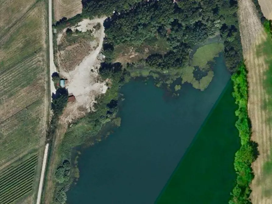 terreno agricolo in vendita a Vicopisano
