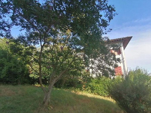 casa indipendente in vendita a Vicopisano in zona San Giovanni alla Vena