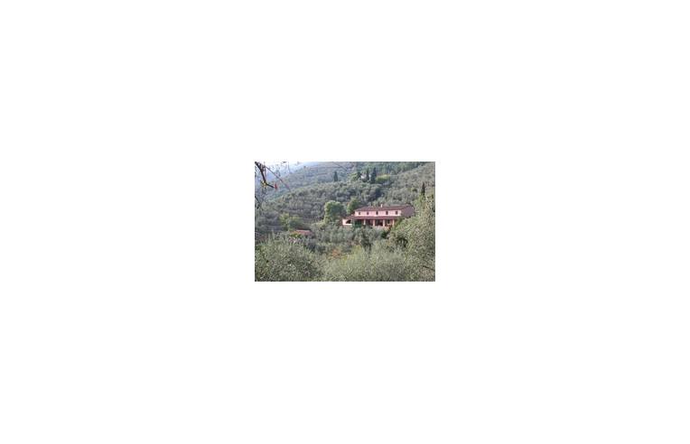 casa indipendente in vendita a Vicopisano