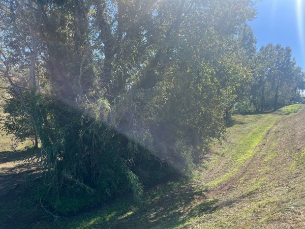 terreno in vendita a Vicopisano in zona San Giovanni alla Vena
