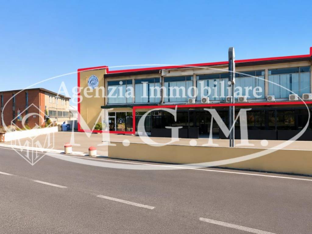 negozio in vendita a Vicopisano