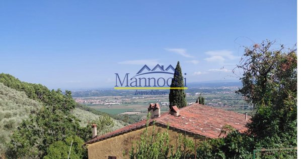 appartamento in vendita a Vicopisano