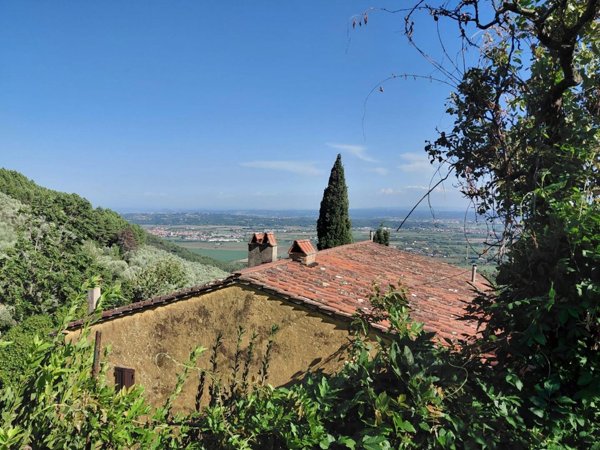 appartamento in vendita a Vicopisano