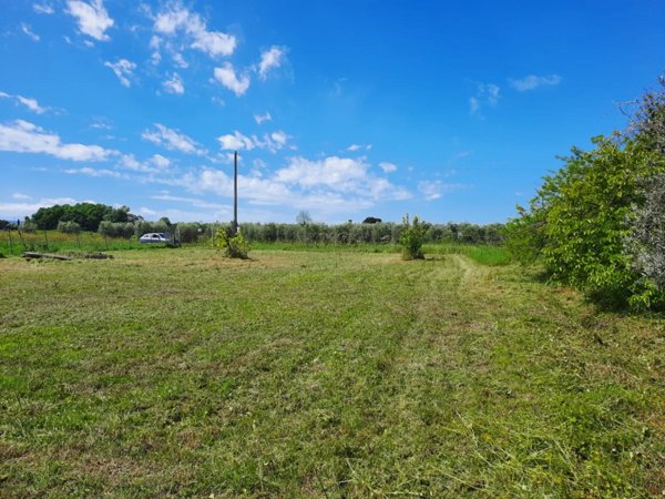 terreno in vendita a Vicopisano