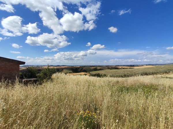 terreno agricolo in vendita a Volterra in zona Villamagna