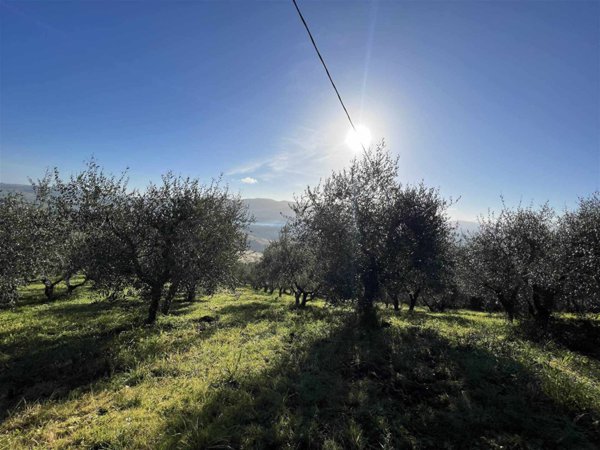 locale di sgombero in vendita a Volterra in zona Mazzolla