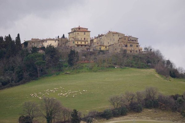 appartamento in vendita a Volterra in zona Mazzolla