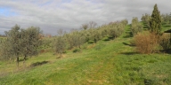 casa indipendente in vendita a Volterra