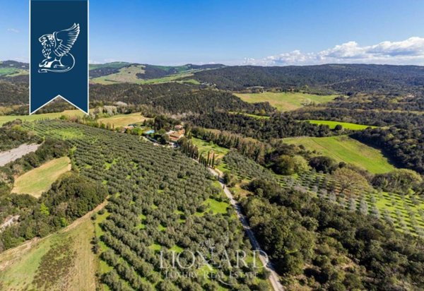 negozio in vendita a Volterra