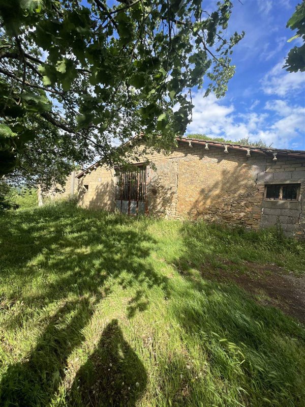 terreno agricolo in vendita a Volterra