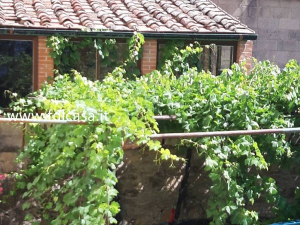 casa indipendente in vendita a Volterra