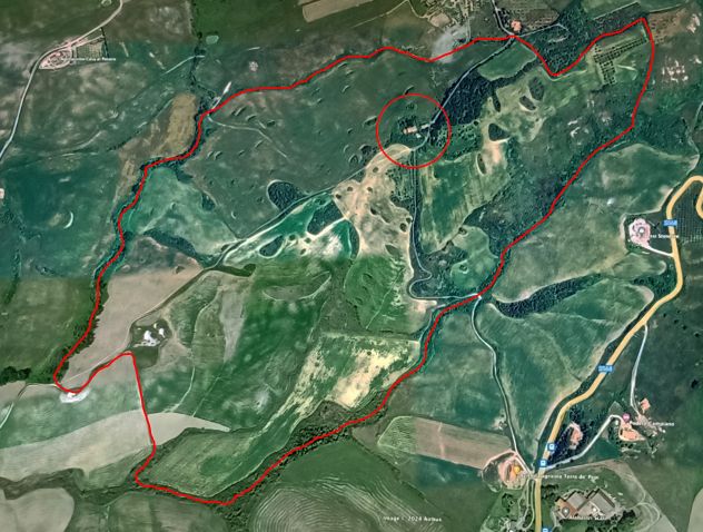 azienda agricola in vendita a Volterra