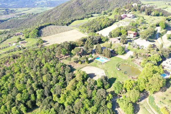 azienda agricola in vendita a Volterra