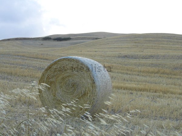 appartamento in vendita a Volterra