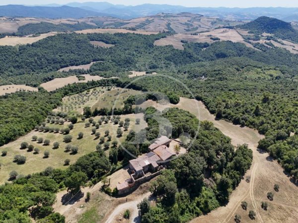 azienda agricola in vendita a Volterra