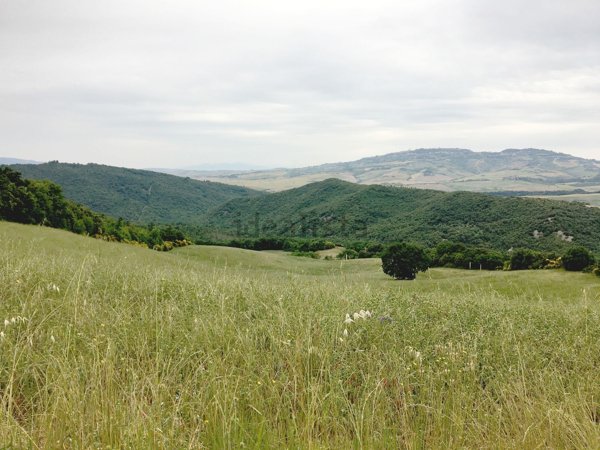 terreno agricolo in vendita a Volterra