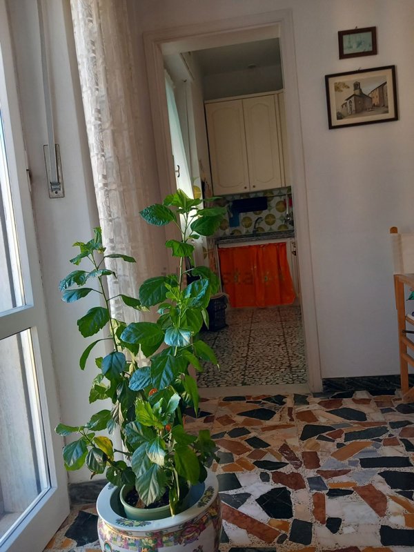 appartamento in vendita a Volterra