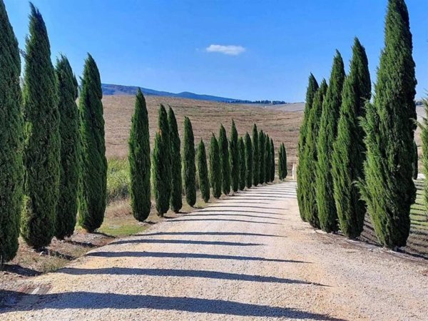 appartamento in vendita a Volterra