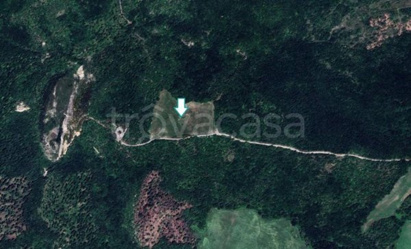 terreno agricolo in vendita a Volterra