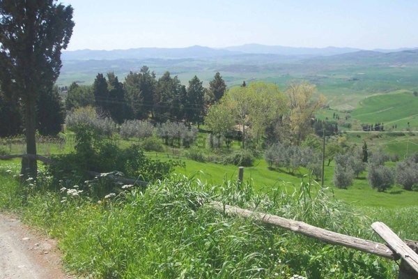 pentavano in vendita a Volterra