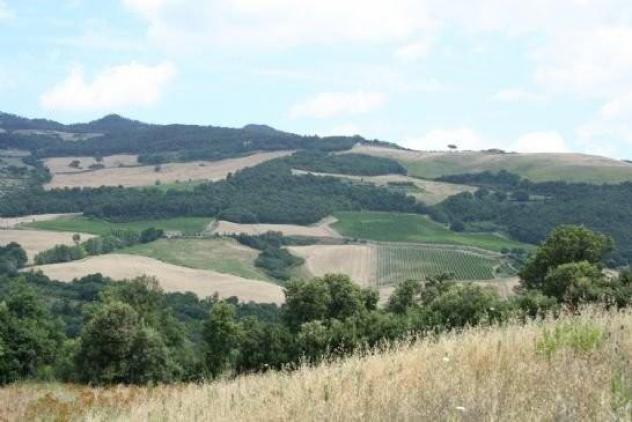 negozio in vendita a Volterra