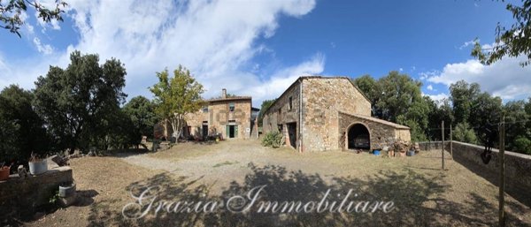 azienda agricola in vendita a Volterra