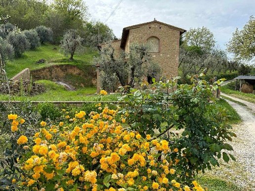 casa indipendente in vendita a Volterra