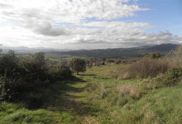 azienda agricola in vendita a Volterra