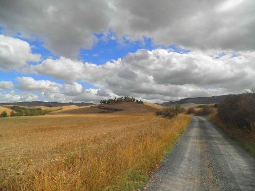 appartamento in vendita a Volterra