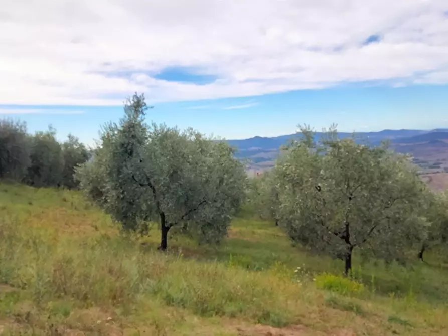 terreno agricolo in vendita a Volterra