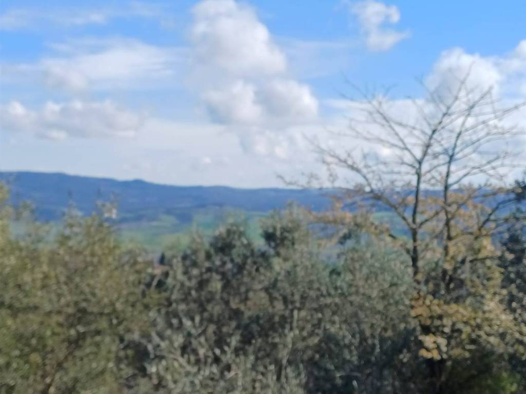 terreno agricolo in vendita a Volterra