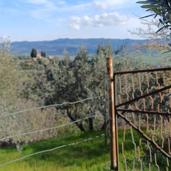 terreno agricolo in vendita a Volterra