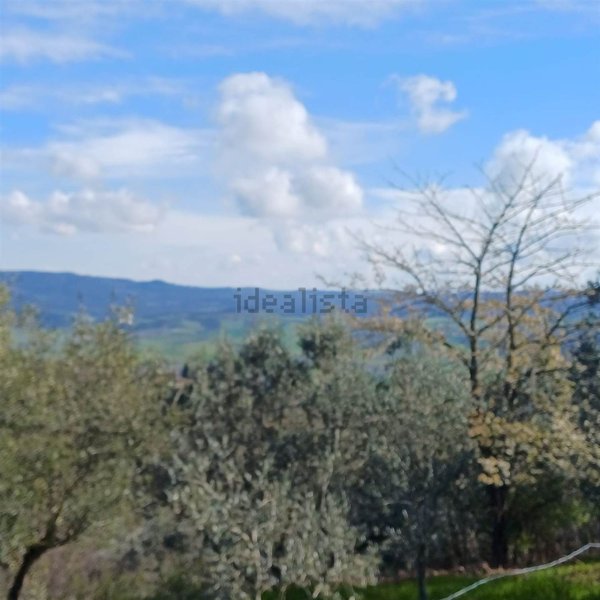 terreno agricolo in vendita a Volterra
