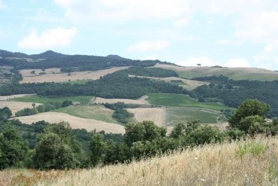 azienda agricola in vendita a Volterra
