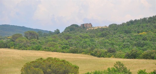 casale in vendita a Volterra