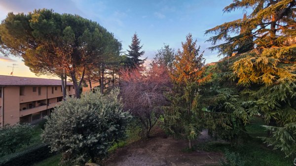 appartamento in vendita a Volterra