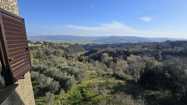 appartamento in vendita a Volterra