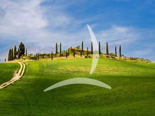 appartamento in vendita a Volterra