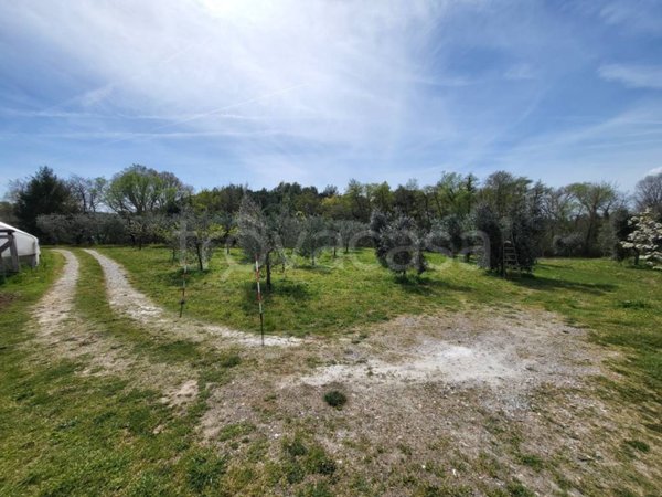 terreno agricolo in vendita a Casciana Terme Lari in zona Perignano