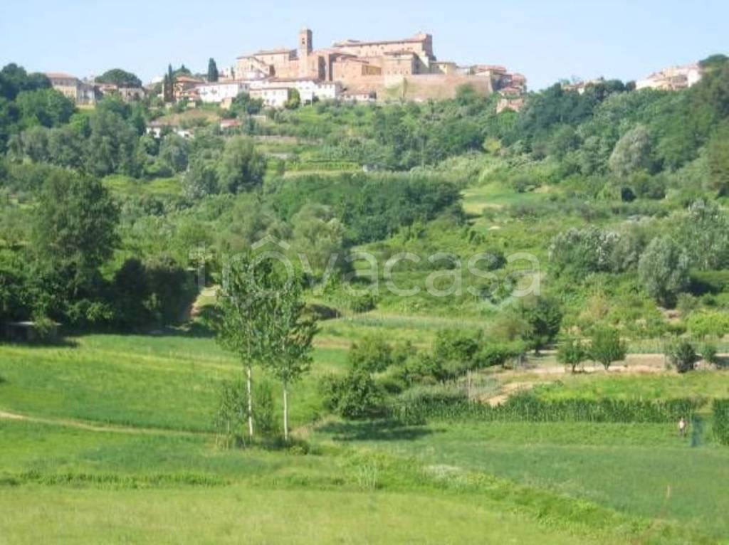 terreno agricolo in vendita a Casciana Terme Lari in zona Lari
