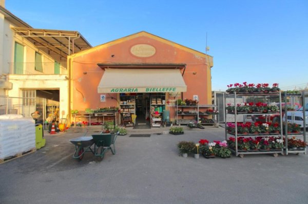 negozio in vendita a Casciana Terme Lari in zona Cevoli