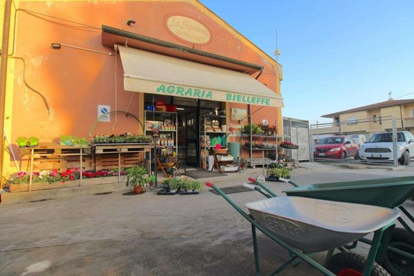 negozio in vendita a Casciana Terme Lari in zona La Capannina