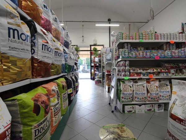 negozio in vendita a Casciana Terme Lari in zona La Capannina