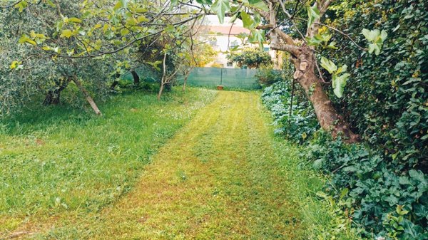 appartamento in vendita a Casciana Terme Lari in zona Casciana Terme