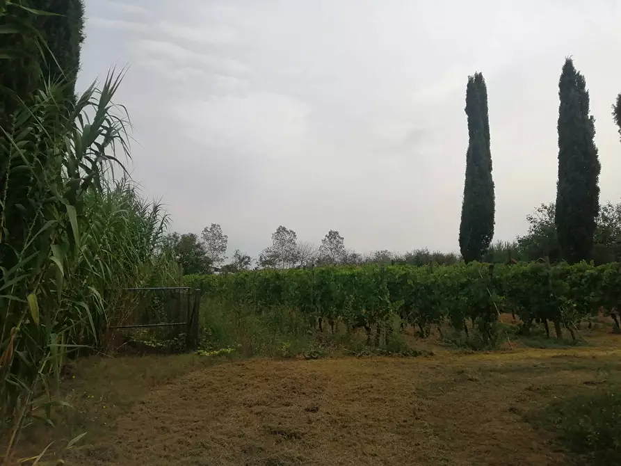 terreno agricolo in vendita a Casciana Terme Lari in zona Perignano