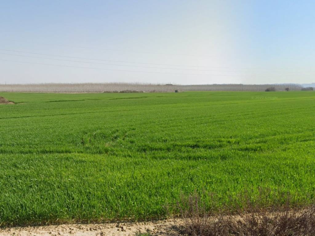 terreno agricolo in vendita a Casciana Terme Lari
