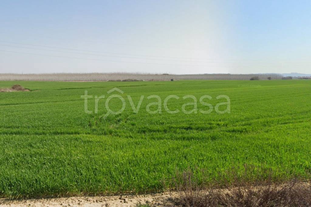 terreno agricolo in vendita a Casciana Terme Lari