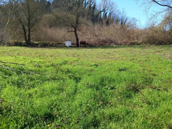 terreno agricolo in vendita a Casciana Terme Lari in zona Casciana Terme