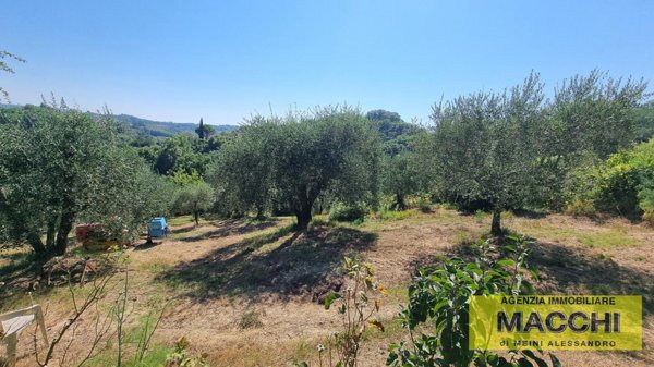 terreno agricolo in vendita a Casciana Terme Lari
