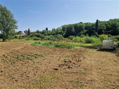 terreno agricolo in vendita a Casciana Terme Lari in zona Perignano